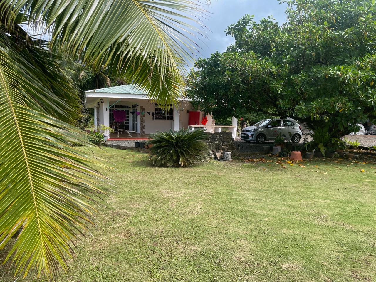 Jardin tropical luxuriant Fare Manino Huahine – Cocotiers Polynésie Française
